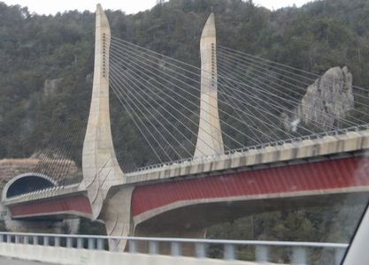 近江大鳥橋とその周辺